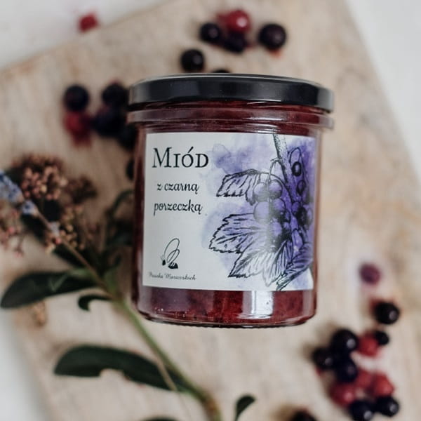 Miód z czarną porzeczką